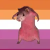 fancy._.rat_