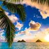 sunshine_sumer