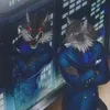 tacokaiser
