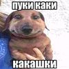 viidsn