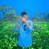 sajjatnour07