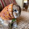 babushkabunnie