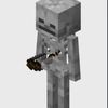 minecraft_skelton