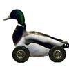 duckroller