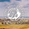 thebullyground