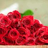 www.naila.com098