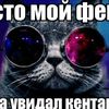 vechirvhatu228