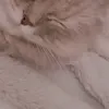 sk_jj_3