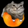 swaggerballs6969