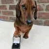 mwd_0223