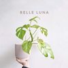 bel