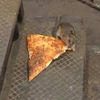 pizzarat2004