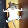 bugnutty