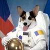 cosmonaut_thecorg