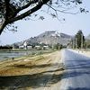 naymaungmaungo