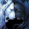 bo_zain
