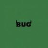 buggy.bug2