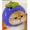 purpleeggplant13