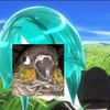 birdphos