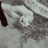 liyah_syax