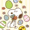 mayuko555