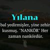 nizipliibrahim27