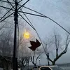 moscow1109