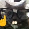 chzwxy_