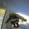 shreksforeheadsebum