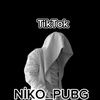 niko_pubg