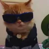 bitchc0llect0r