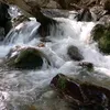 kardohawlery0