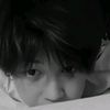 fiialovy_