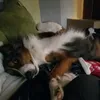 justellllo