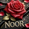 noor.k312