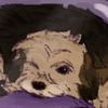 mooshieart16
