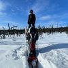 brap_800
