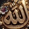 rimsha.gill.22