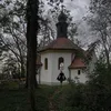666fledermausi