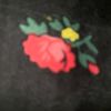 user8322635034626laila