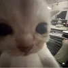 justmme02