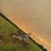 karson_ot