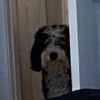 laurlipop6