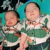 baby_twins022