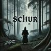 schur_355