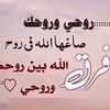 alaseer96