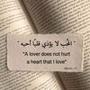 user862675033