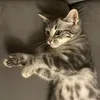 jasminhassen05