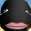 user7172837450103
