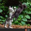 devan_007
